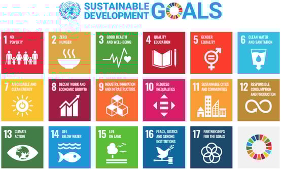 UN SDGS Solvay EMBA