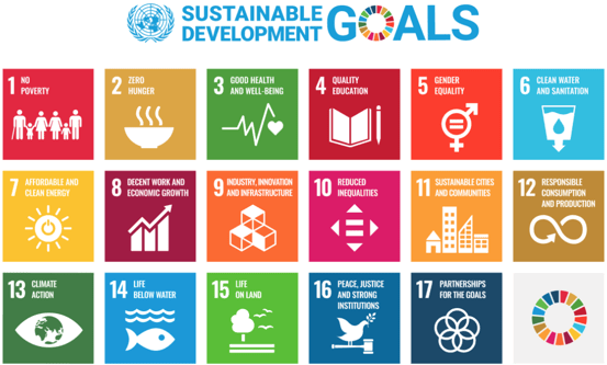 UN SDGS Solvay EMBA